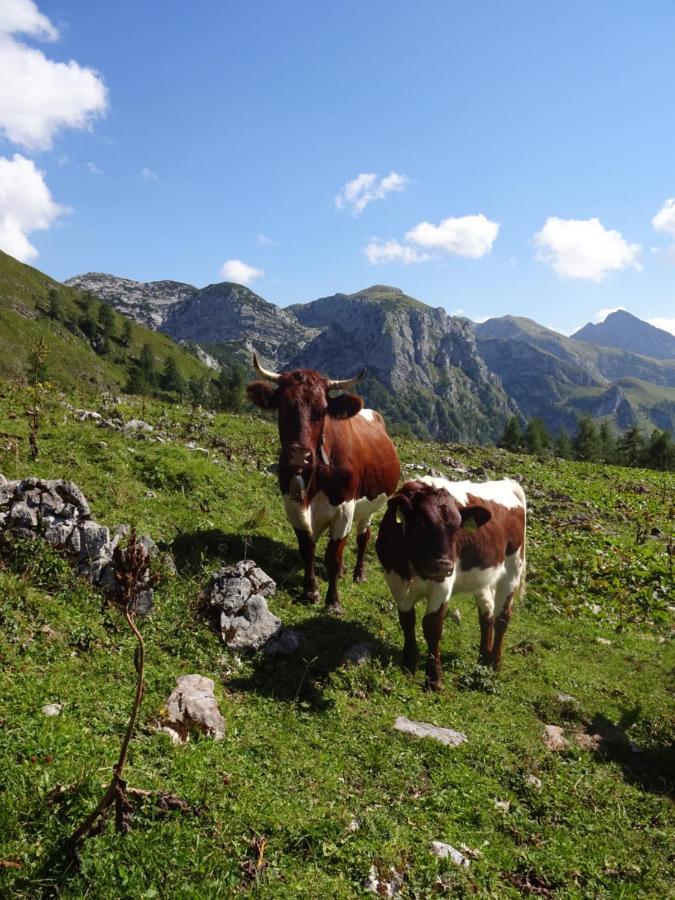 Malterlehen-Berchtesgaden Leilighet Eksteriør bilde