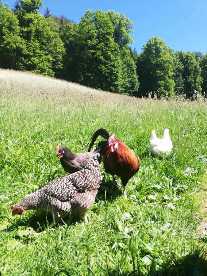 Malterlehen-Berchtesgaden Leilighet Eksteriør bilde