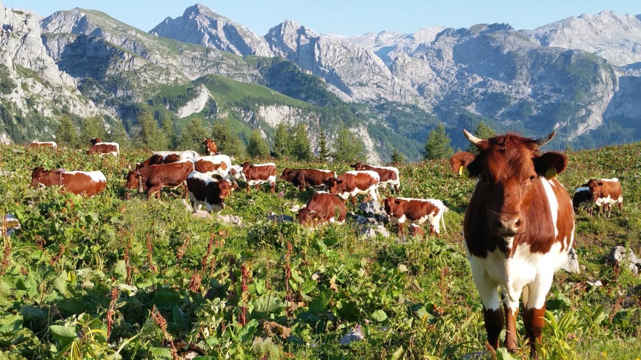 Malterlehen-Berchtesgaden Leilighet Eksteriør bilde